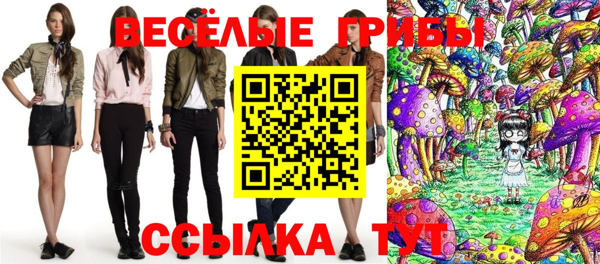 Псилоцибиновые грибы мухоморы Новошахтинск