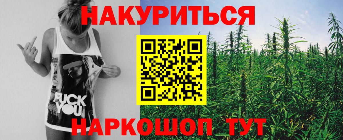 Бошки марихуана конопля  Каннабис Amnesia  Бошки Шишки план  Новошахтинск  Вход с VPN 